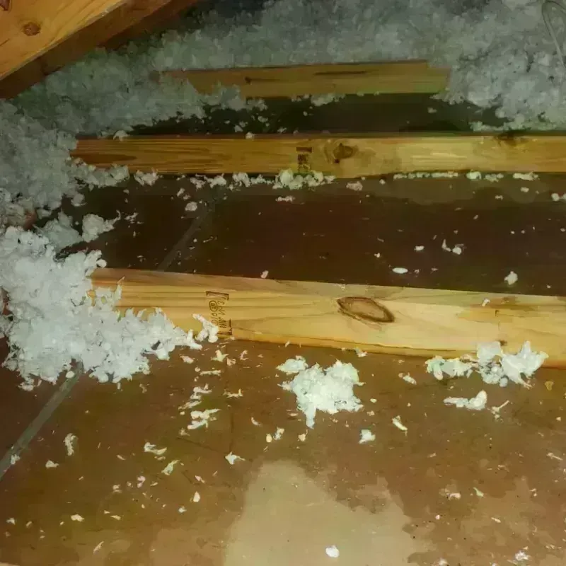 Attic Water Damage in El Rancho, NM